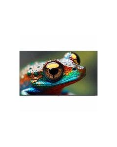 Newline STV-4324 Digital Signage Display